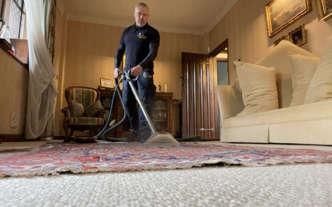 What Kind of Contaminants Can be Removed by Regular Carpet Cleaning?